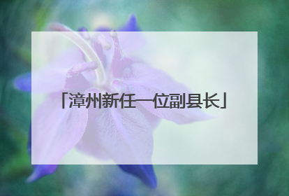 漳州新任一位副县长