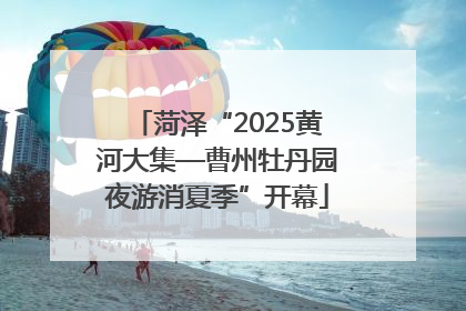 菏泽“2025黄河大集—曹州牡丹园夜游消夏季”开幕