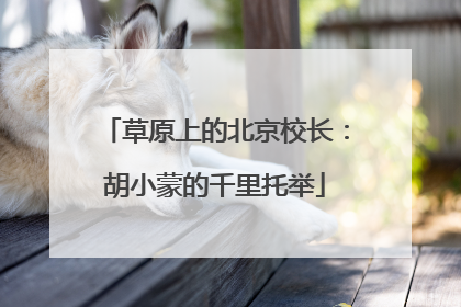 草原上的北京校长：胡小蒙的千里托举
