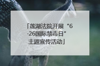 莲湖法院开展“6·26国际禁毒日”主题宣传活动