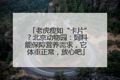 老虎瘦如“卡片”？北京动物园：饲料能保障营养需求，它体重正常，放心吧