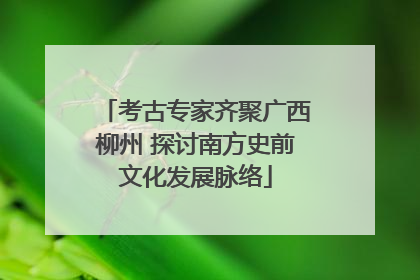 考古专家齐聚广西柳州 探讨南方史前文化发展脉络