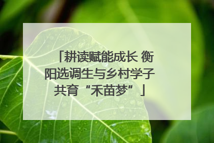 耕读赋能成长 衡阳选调生与乡村学子共育“禾苗梦”
