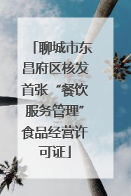 聊城市东昌府区核发首张“餐饮服务管理”食品经营许可证