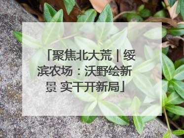 聚焦北大荒｜绥滨农场：沃野绘新景 实干开新局