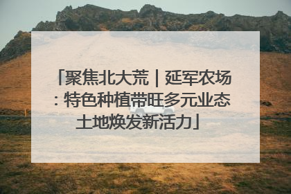 聚焦北大荒｜延军农场：特色种植带旺多元业态 土地焕发新活力