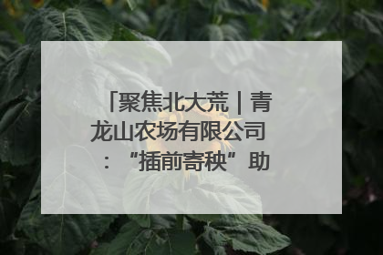 聚焦北大荒｜青龙山农场有限公司：“插前寄秧”助力农业节本增效