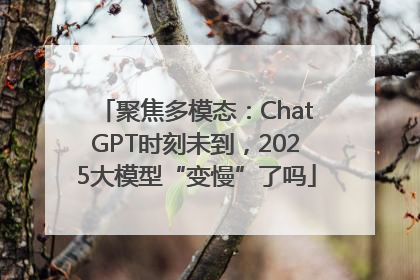 聚焦多模态：ChatGPT时刻未到，2025大模型“变慢”了吗
