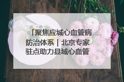 聚焦应城心血管病防治体系｜北京专家驻点助力县域心血管诊疗技术突破