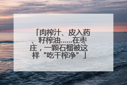 肉榨汁、皮入药、籽榨油……在枣庄，一颗石榴被这样“吃干榨净”