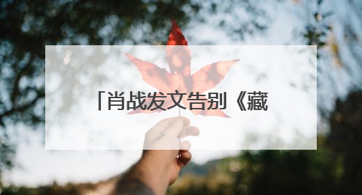 肖战发文告别《藏海传》：真心地为你开心，有这么多人懂你，导演回应“是否有第二季”