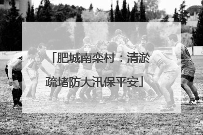 肥城南栾村：清淤疏堵防大汛保平安