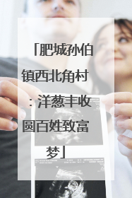 肥城孙伯镇西北角村：洋葱丰收圆百姓致富梦