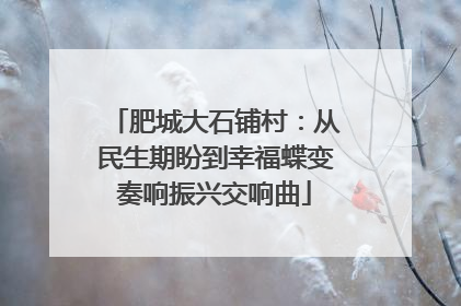 肥城大石铺村：从民生期盼到幸福蝶变奏响振兴交响曲