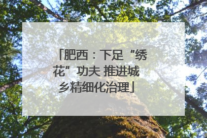 肥西：下足“绣花”功夫 推进城乡精细化治理
