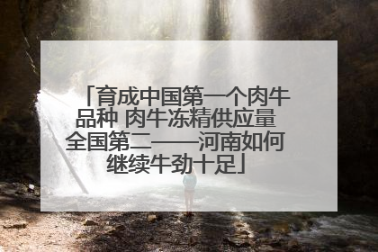 育成中国第一个肉牛品种 肉牛冻精供应量全国第二——河南如何继续牛劲十足