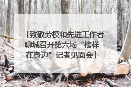 致敬劳模和先进工作者 聊城召开第六场“榜样在身边”记者见面会