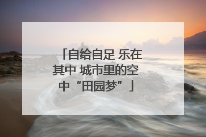 自给自足 乐在其中 城市里的空中“田园梦”