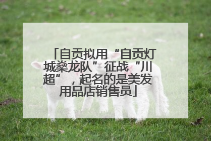 自贡拟用“自贡灯城燊龙队”征战“川超”，起名的是美发用品店销售员