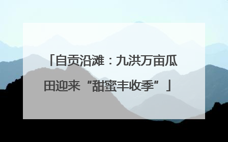 自贡沿滩：九洪万亩瓜田迎来“甜蜜丰收季”