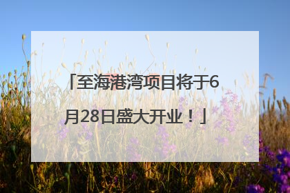 至海港湾项目将于6月28日盛大开业！