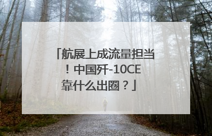 航展上成流量担当！中国歼-10CE靠什么出圈？