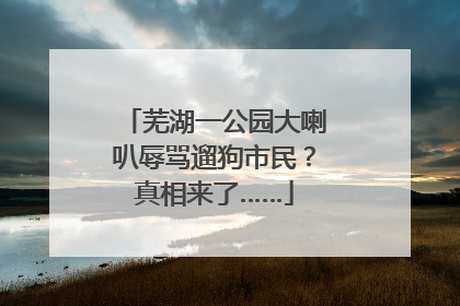芜湖一公园大喇叭辱骂遛狗市民？真相来了……