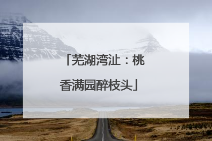 芜湖湾沚：桃香满园醉枝头