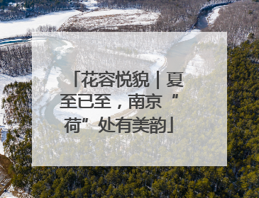 花容悦貌｜夏至已至，南京“荷”处有美韵