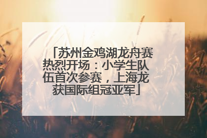 苏州金鸡湖龙舟赛热烈开场：小学生队伍首次参赛，上海龙获国际组冠亚军