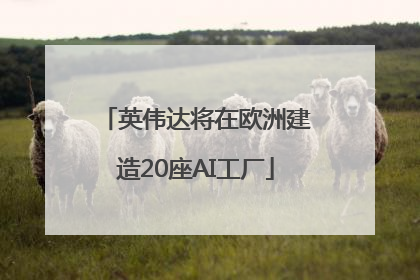 英伟达将在欧洲建造20座AI工厂