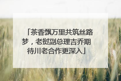 茶香飘万里共筑丝路梦，老挝副总理吉乔期待川老合作更深入