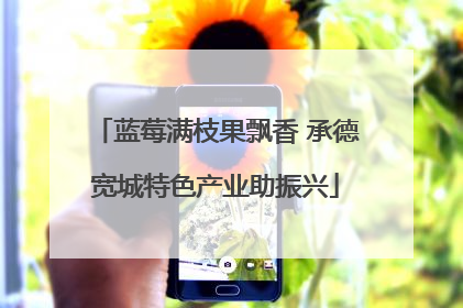 蓝莓满枝果飘香 承德宽城特色产业助振兴