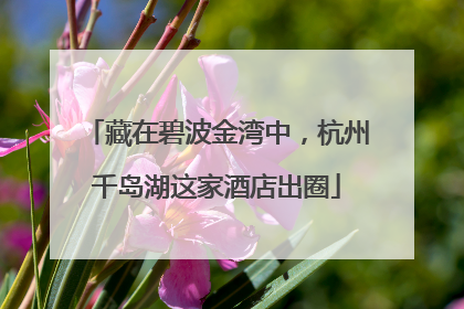 藏在碧波金湾中，杭州千岛湖这家酒店出圈