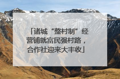 诸城“整村制”经营铺就富民强村路，合作社迎来大丰收
