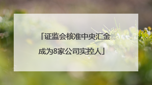 证监会核准中央汇金成为8家公司实控人