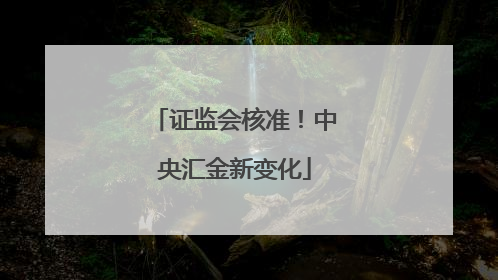 证监会核准！中央汇金新变化