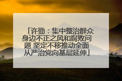 许勤：集中整治群众身边不正之风和腐败问题 坚定不移推动全面从严治党向基层延伸