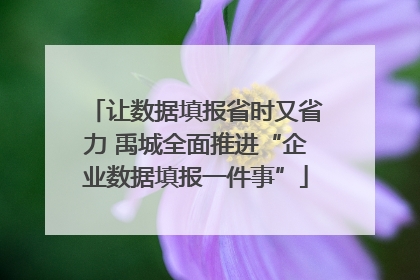 让数据填报省时又省力 禹城全面推进“企业数据填报一件事”