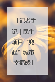 记者手记｜民生项目“兜起”城市幸福感