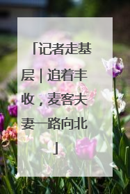 记者走基层｜追着丰收，麦客夫妻一路向北