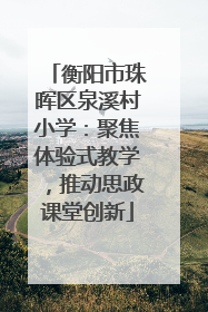 衡阳市珠晖区泉溪村小学：聚焦体验式教学，推动思政课堂创新