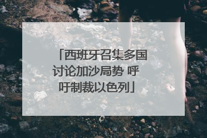 西班牙召集多国讨论加沙局势 呼吁制裁以色列