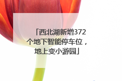 西北湖新增372个地下智能停车位，地上变小游园