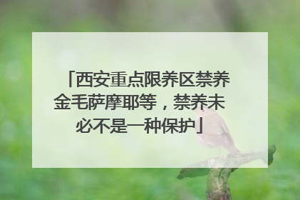 西安重点限养区禁养金毛萨摩耶等，禁养未必不是一种保护