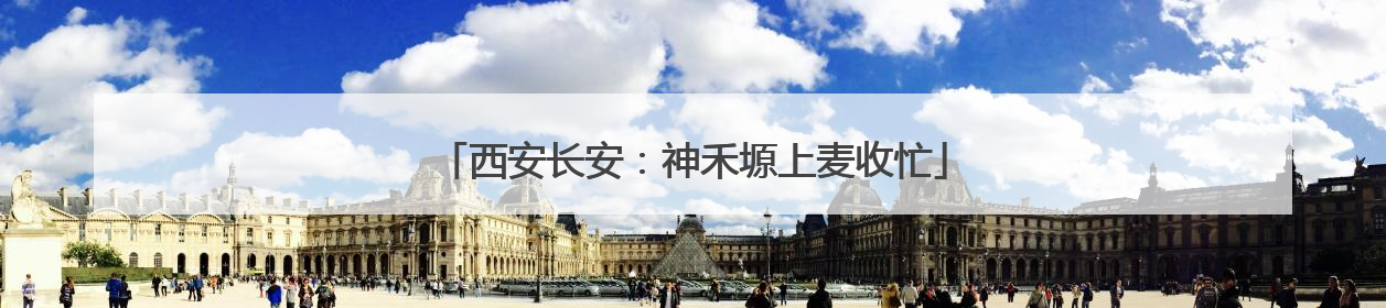 西安长安：神禾塬上麦收忙