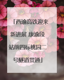 西渝高铁迎来新进展 康渝段站前四标桃园二号隧道贯通