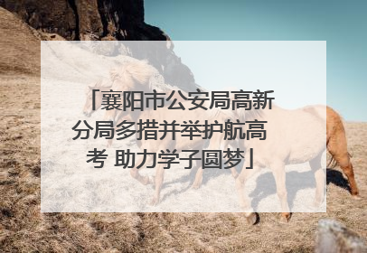 襄阳市公安局高新分局多措并举护航高考 助力学子圆梦