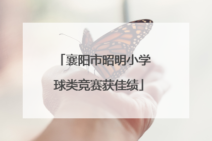 襄阳市昭明小学球类竞赛获佳绩