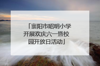 襄阳市昭明小学开展欢庆六一暨校园开放日活动